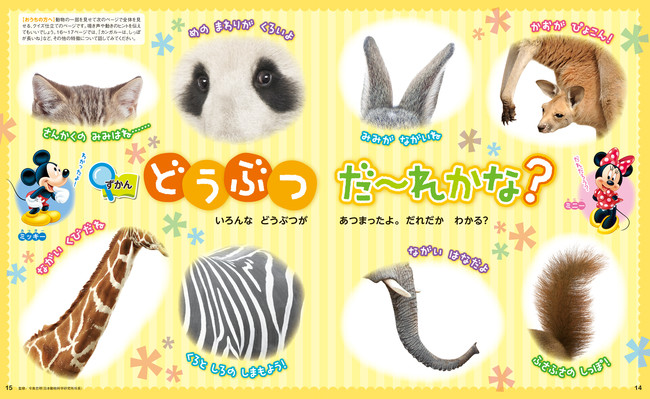 ディズニーデザインの「おいしゃさんごっこセット」（聴診器・注射器・体温計など）が付録♪　１・２・３歳向け知育雑誌『きらきら ディズニー vol.５』新発売！のサブ画像5_©Disney