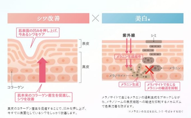 【限定商品】ディズニー『ふしぎの国のアリス』デザインの「モイストラボ」BBクリームが明色化粧品から新登場！のサブ画像4