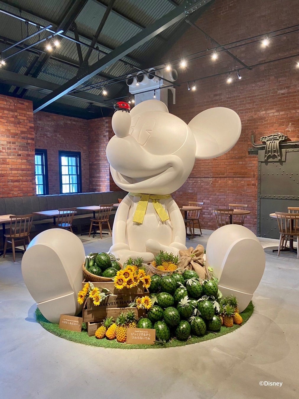 海沿いのロケーションで楽しむ、横浜赤レンガ倉庫の“朝の過ごし方”が充実　「Disney HARVEST MARKET By CAFE COMPANY」ドナルドイメージの限定モーニングメニュー販売決定!のサブ画像5