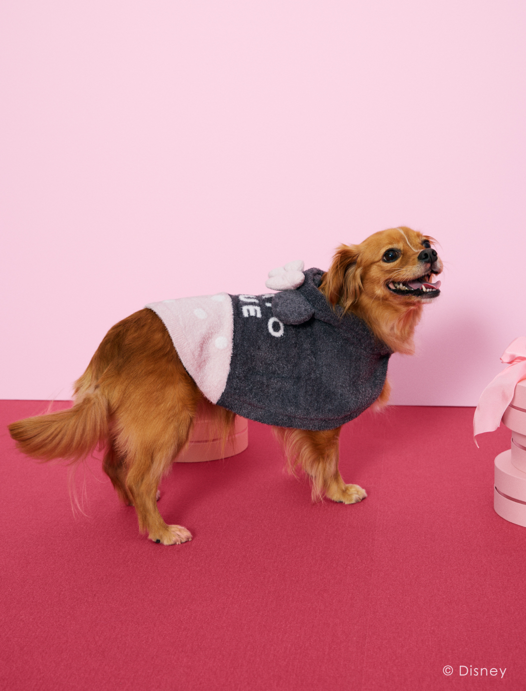 「gelato pique（ジェラート ピケ）」ミニーマウスをデザインの主役としたルームウェア、寝具、CAT&DOGの新作コレクションを発売＜5月15日（水）＞のサブ画像18