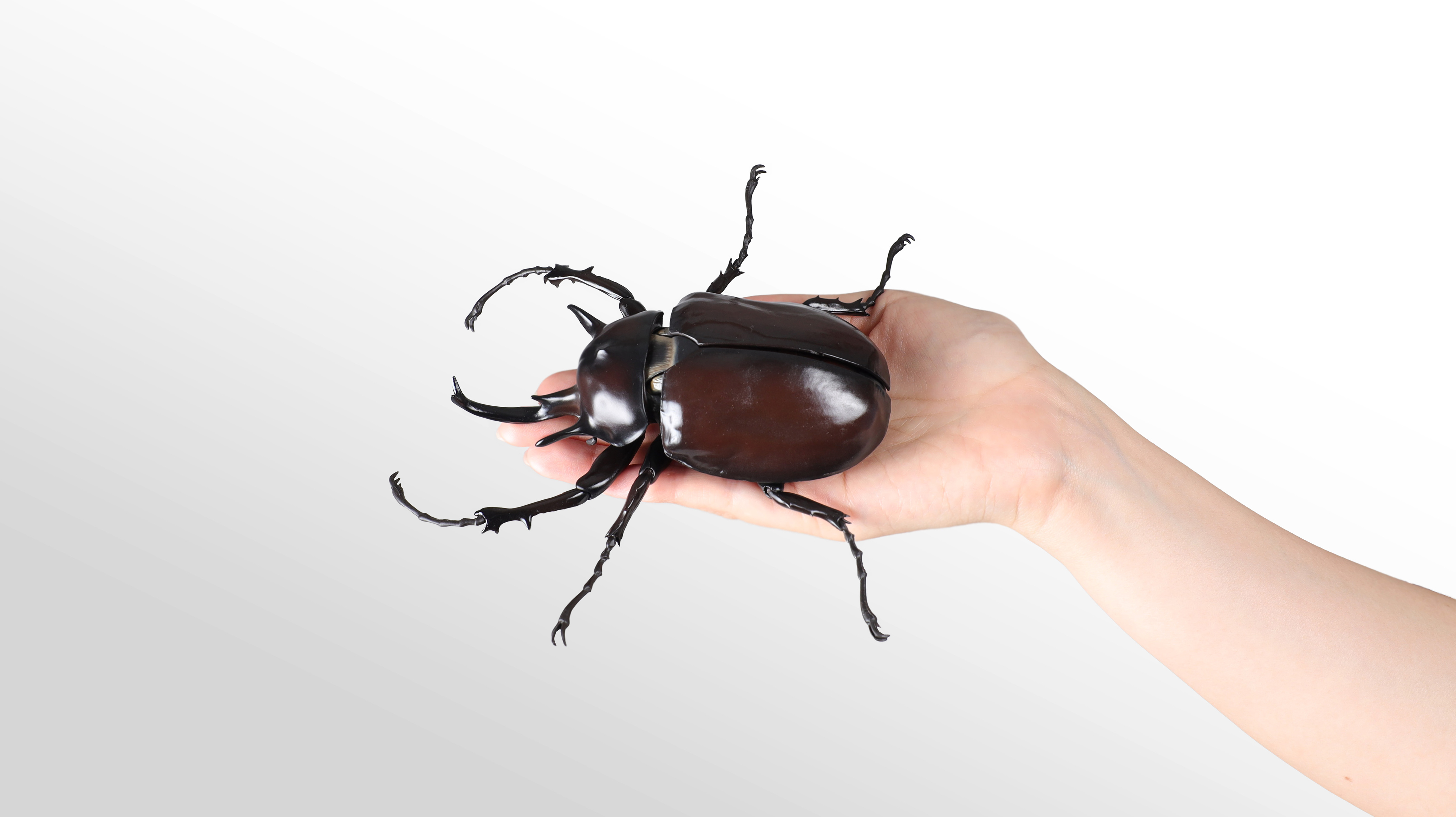 カプセルトイの常識を超える、超BIGサイズの商品を実現「ガシャポン®」史上最大サイズ「90mmカプセル」誕生！のサブ画像4_『いきもの大図鑑アドバンス ゾウカブトとヘラクレスオオカブト』