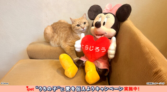 アンケートへのご回答だけ！ディズニーデザインのグッズが抽選で当たる感謝のキャンペーン第三弾のメイン画像