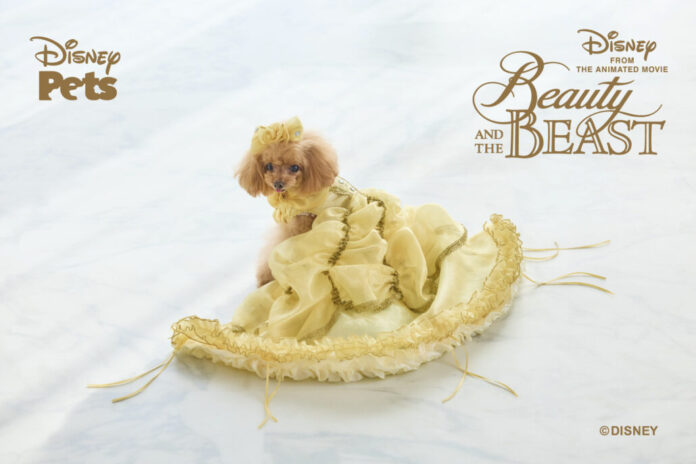 mimimerry、ディズニー・アニメーション映画『美女と野獣』35周年アニバーサリーコレクションを発表のメイン画像